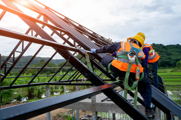 Best Roof Waterproofing Services  in Brookville, IN